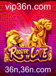 RoosterInLove: Um Mergulho no Mundo Enigmático de 36n,36n.com
